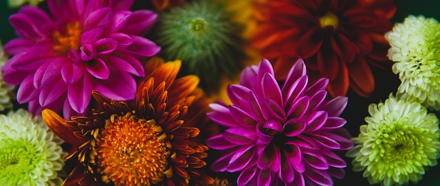 亚洲杯小组赛冷门频出