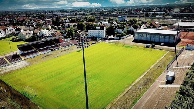 有前锋了，意媒：埃文-弗格森已参加罗马合练，周末可能复出
