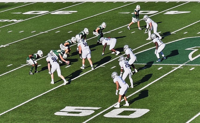 萨哈：麦克托米奈可以在皇马和巴萨踢球，甚至拜仁慕尼黑