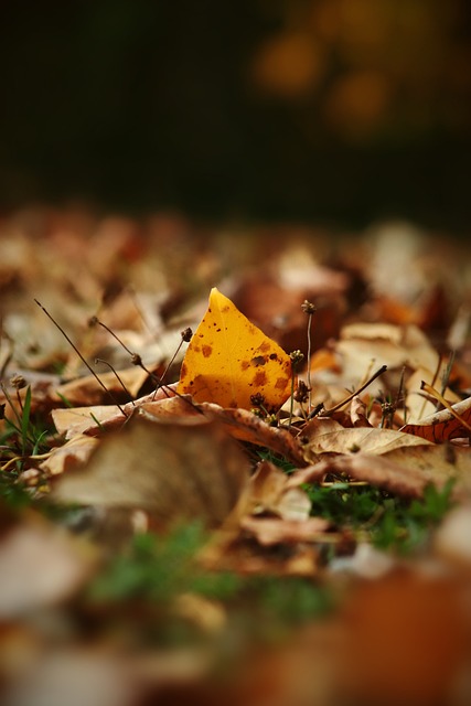 热火阵容齐整迎战魔术！希罗&拉尔森等4人今天均可出战