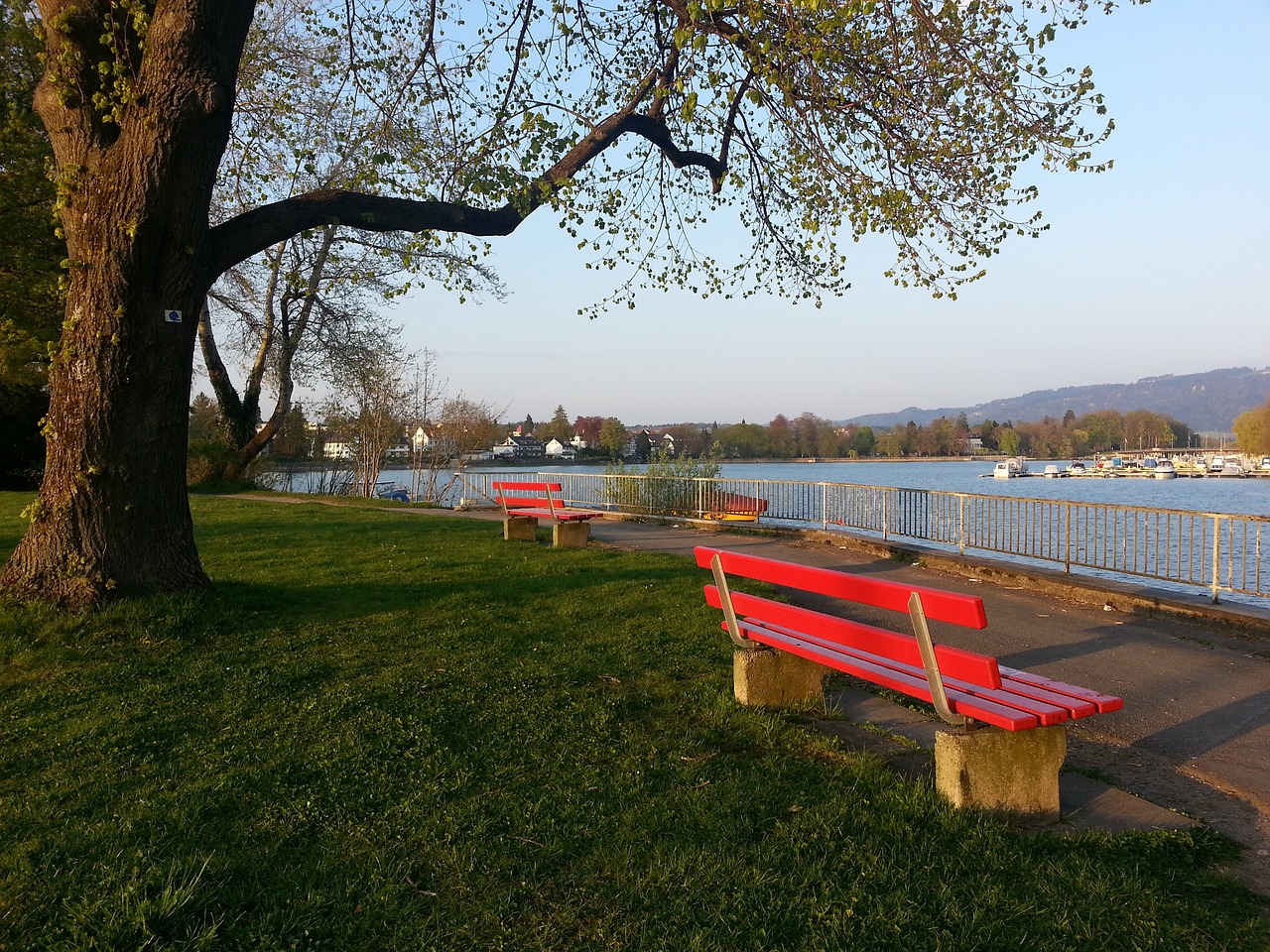 那不勒斯官方：安古伊萨左大腿股二头肌重度撕裂