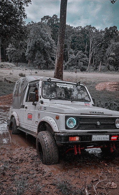 篮板和得分 篮板和得分